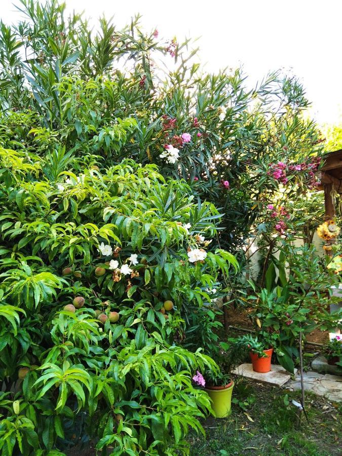 Villa Alekos ลีเมนาส ภายนอก รูปภาพ