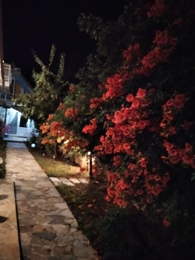 Villa Alekos ลีเมนาส ภายนอก รูปภาพ